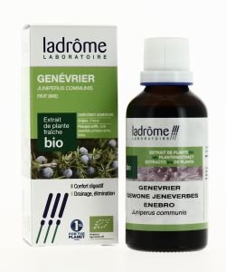Genévrier - extrait de plante fraîche BIO, 50 ml